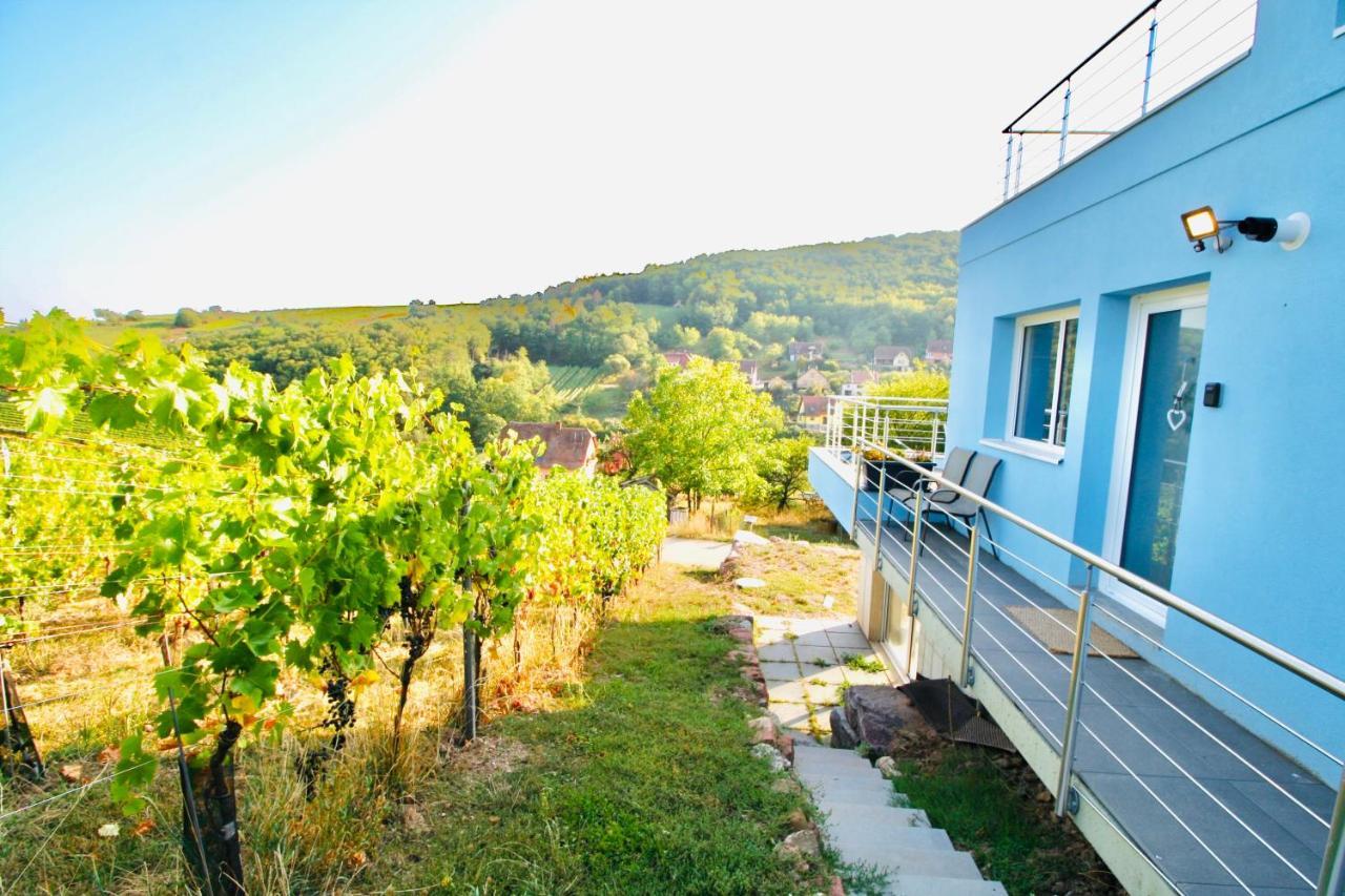 Janea Big Blue House Apartment Reichsfeld Exterior foto