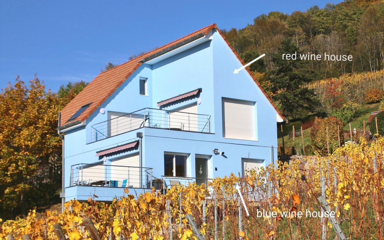 Janea Big Blue House Apartment Reichsfeld Exterior foto