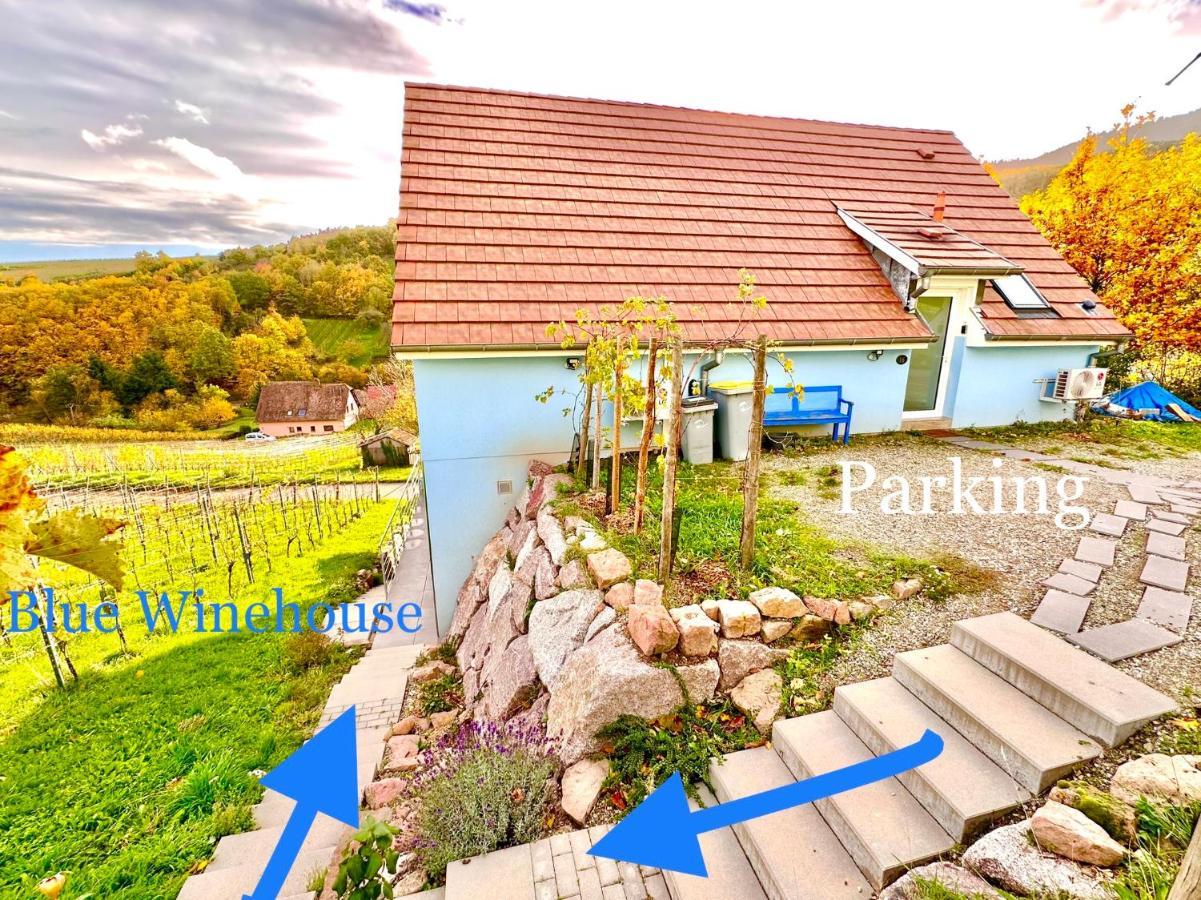 Janea Big Blue House Apartment Reichsfeld Exterior foto