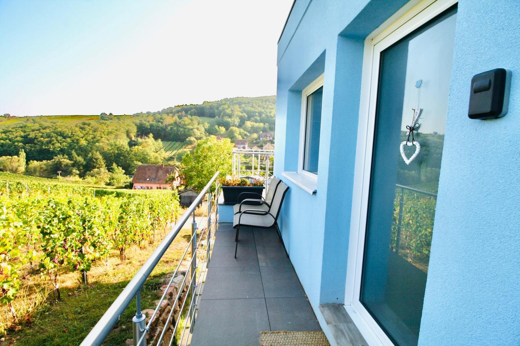 Janea Big Blue House Apartment Reichsfeld Exterior foto
